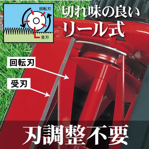 ミラクルバーディモアー