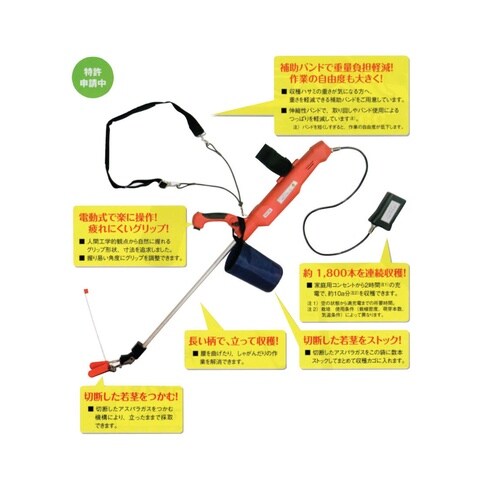 アスパラーク55