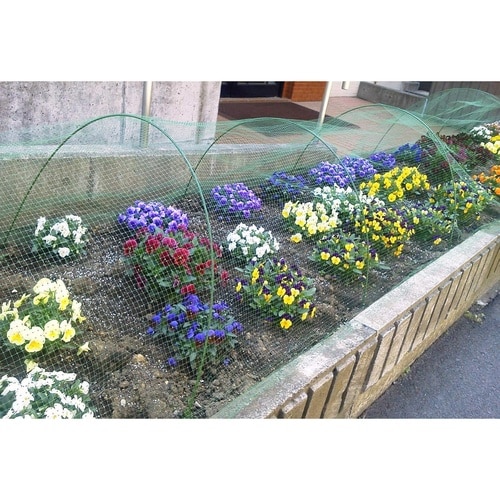 防鳥カルネット 4x5m