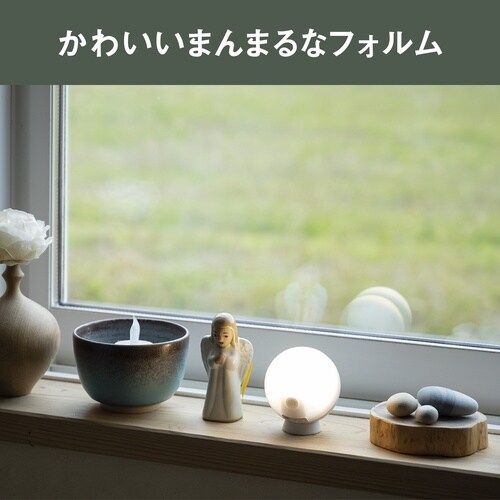 センサーライト