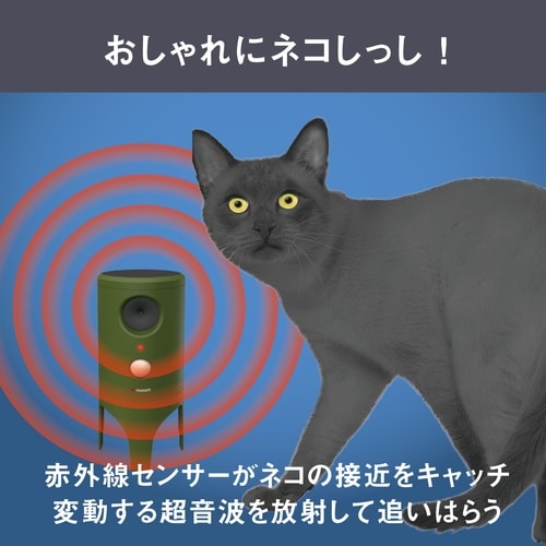 ソーラー猫しっし