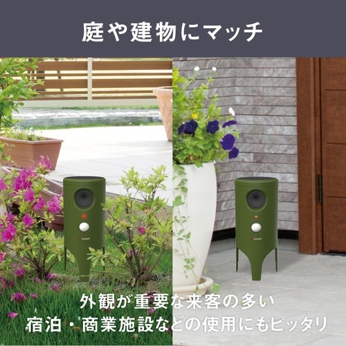 ソーラー猫しっし