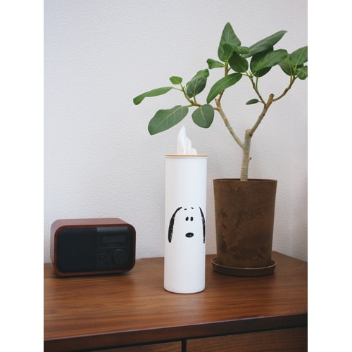 ティッシュボトル