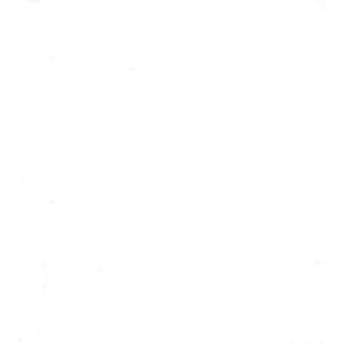 アンチラストペイント