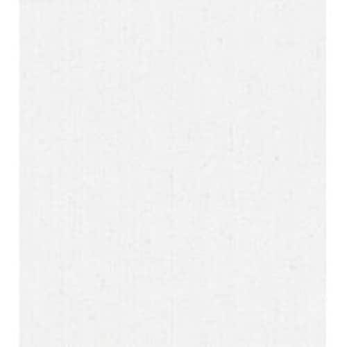 アンチラストペイント