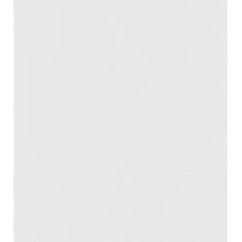 アンチラストペイント