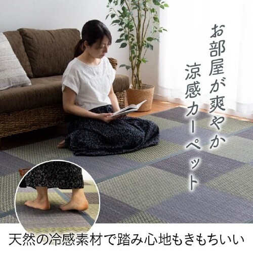 DXピーア BR 本間2畳