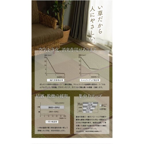 DXピーア BR 本間2畳