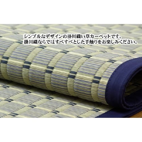 豊後 BL 江戸間4.5畳