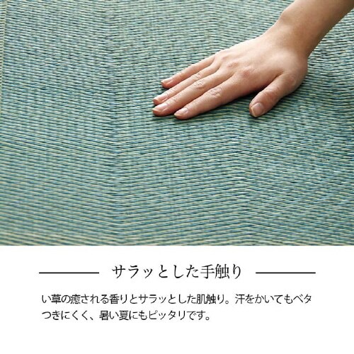 ルネ BR 江戸間6畳