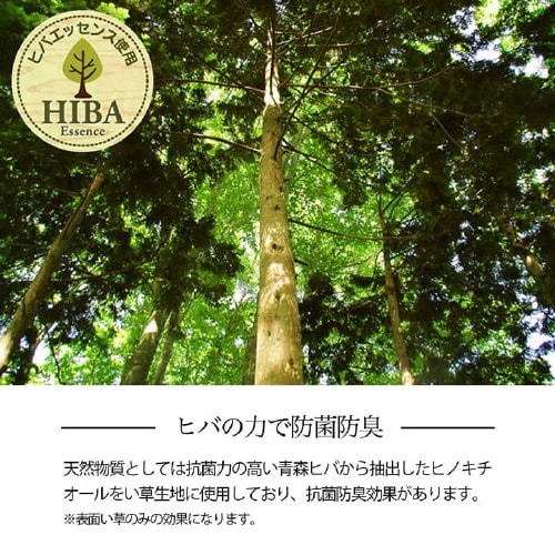 NDXルネ BR 本間6畳