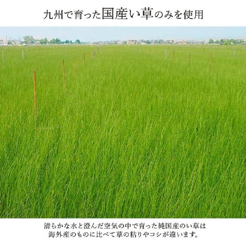 ランクス NV 176×230cm