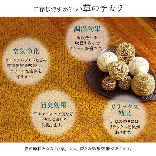 ランクス NV 95×150cm