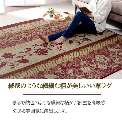 ヴィオラ WI 191×250cm