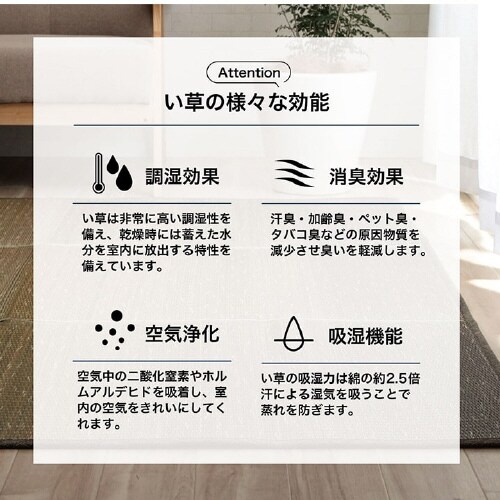 クリア OR 190×250cm