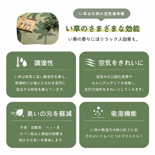 セレス GY(NV) 191×250cm