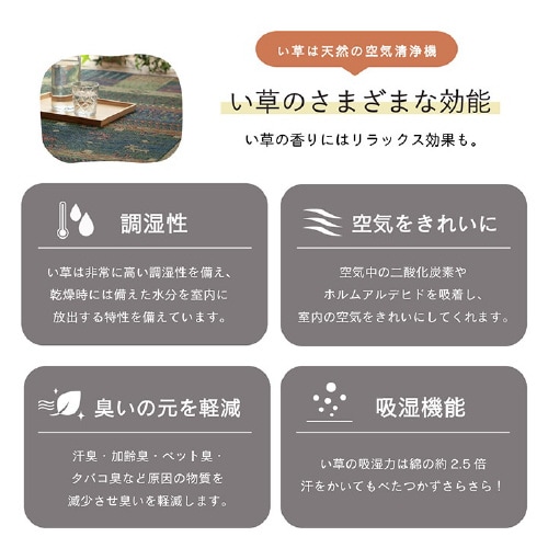 トロイ BL 191×250cm