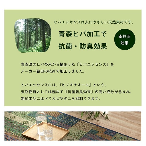 トロイ BL 191×250cm