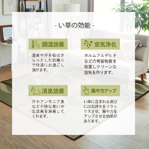 プレア GN 191×300cm