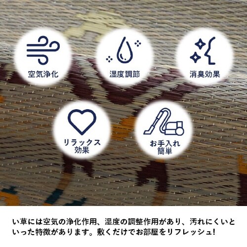 ライク BK 180×240cm