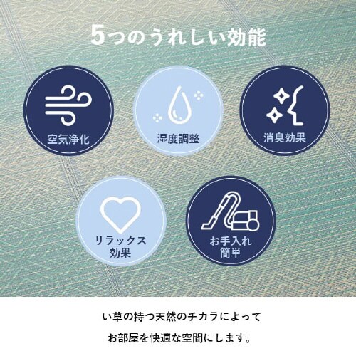 ナセル BL 180×240cm