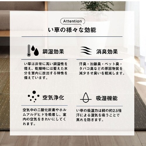 クリア OR 190×250cm