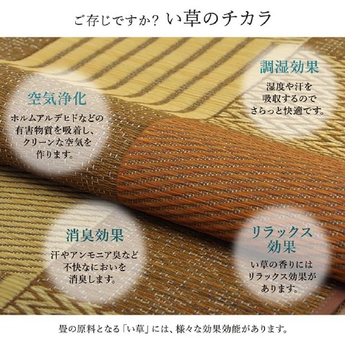 京刺子 BL 本間3畳