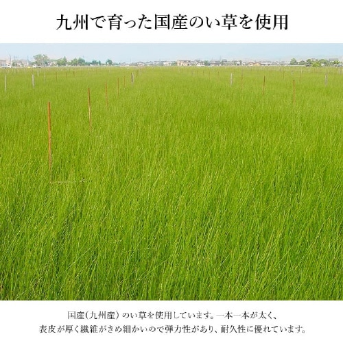 なでしこ BK 35×90cm