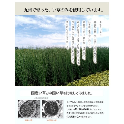 なでしこ BL 70×120cm