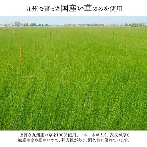 大自然 草原 江戸間8畳