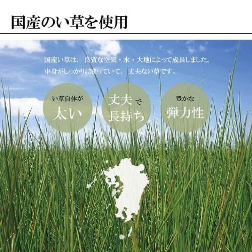 鍋島 BK 江戸間2畳