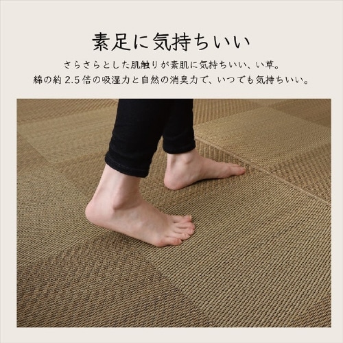 ノア BR 江戸間3畳