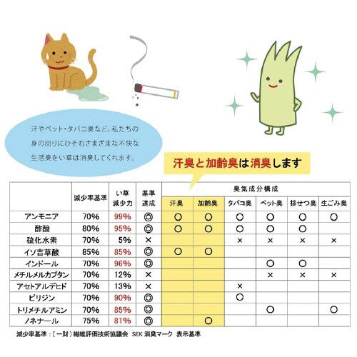 ビビアン BL 60×90cm