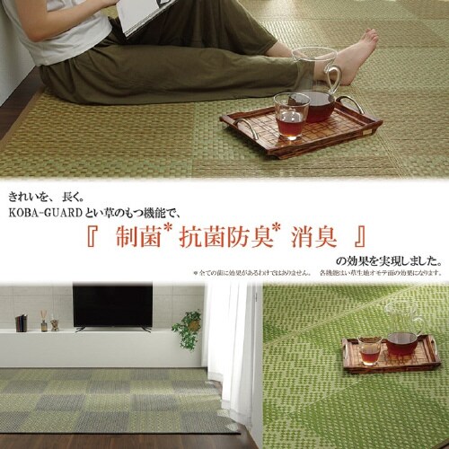 ラウム GY 江戸間4.5畳