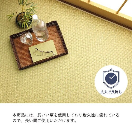 プレーン − 江戸間6畳