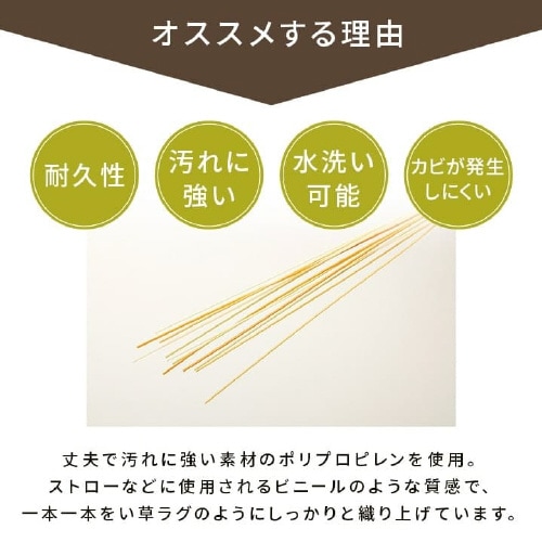 五木 − 江戸間1畳