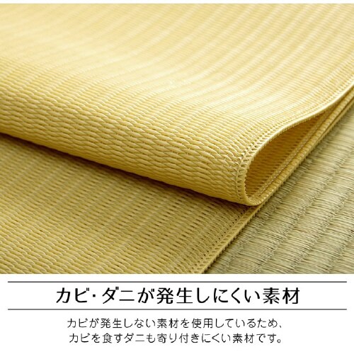 ファーム BE 江戸間4.5畳