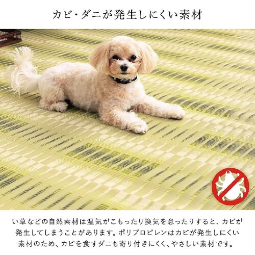 日和 GN 本間2畳