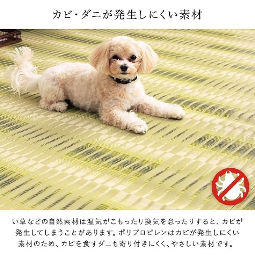 日和 GN 本間10畳