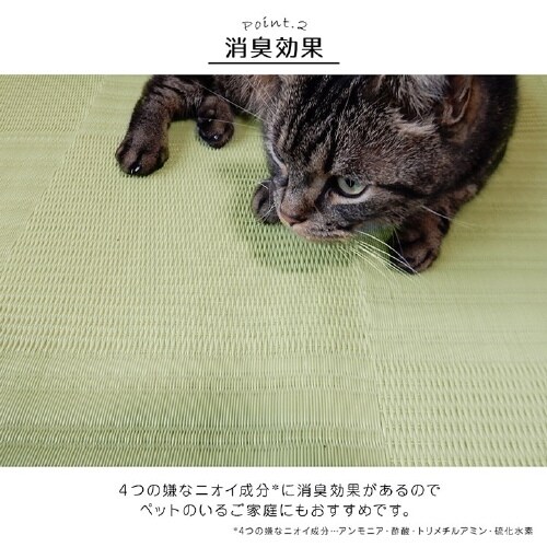 リリーフ IV 江戸間3畳