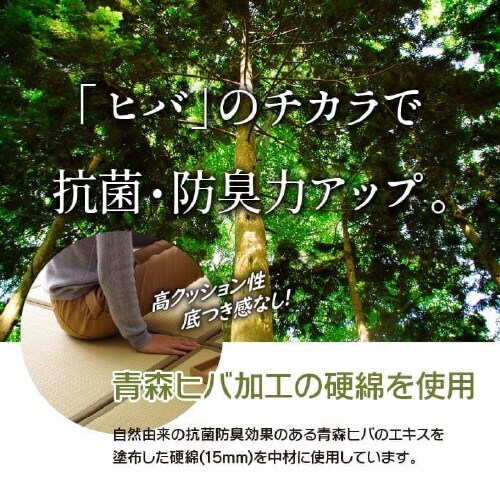 スカッシュ GN 67×67×1.7cm 9P