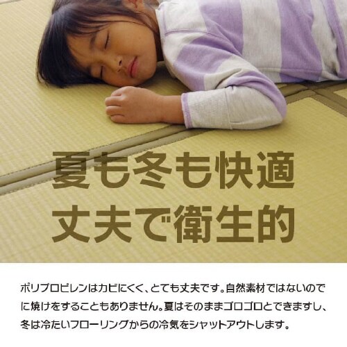 スカッシュ GN 67×67×1.7cm 9P