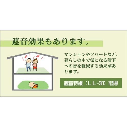 フレア NA5BK4 82×82×2.3cm 9P