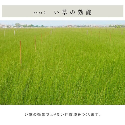 ネイラル − 70×70×1.5cm 4P