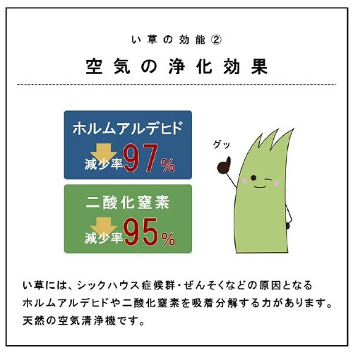 ネイラル − 70×70×1.5cm 9P