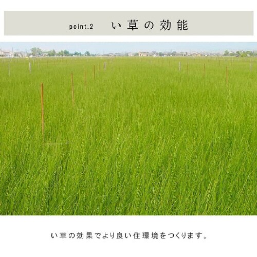 ネイラル − 70×70×3cm