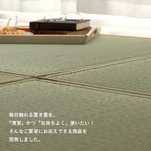 滅ダニ − 82×82×1.8cm 6P