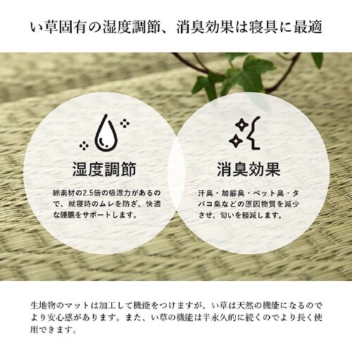 いろは OR 70×180cm