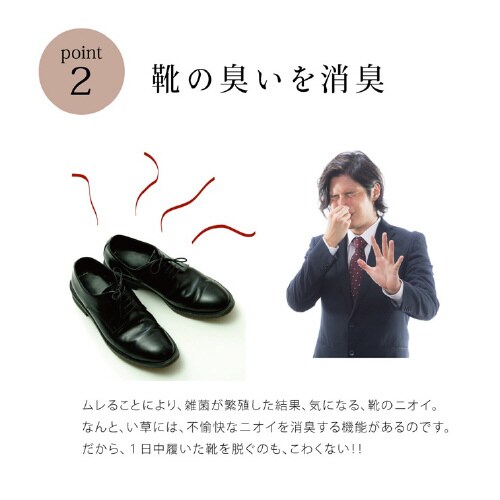 い草インソール NV 17cm