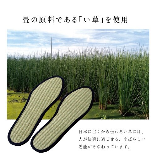 い草インソール NV 24cm